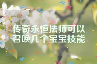 传奇永恒法师可以召唤几个宝宝技能