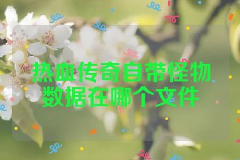 热血传奇自带怪物数据在哪个文件