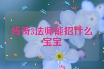 传奇3法师能招什么宝宝