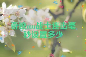 奇迹mu战士连击毫秒设置多少