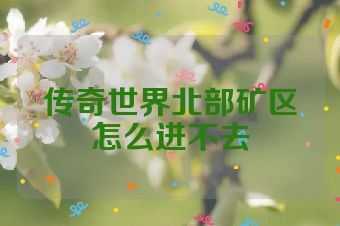传奇世界北部矿区怎么进不去