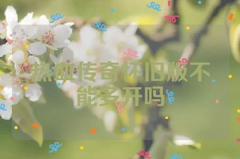热血传奇怀旧版不能多开吗
