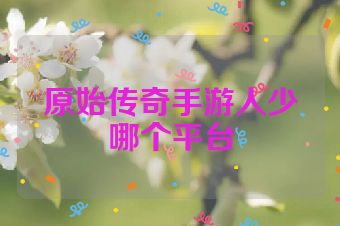 原始传奇手游人少哪个平台
