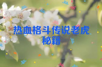 热血格斗传说老虎秘籍