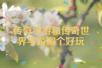 传奇手游和传奇世界手游哪个好玩