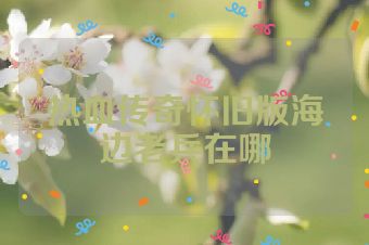 热血传奇怀旧版海边老兵在哪