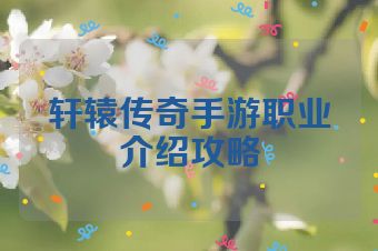轩辕传奇手游职业介绍攻略