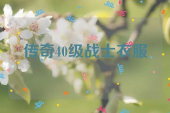 传奇40级战士衣服