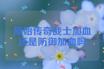 原始传奇战士加血还是防御加血吗