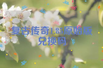 复古传奇1.85原始版兑换码