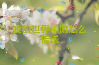 我的世界手游怎么传送