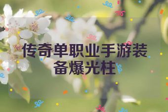传奇单职业手游装备爆光柱