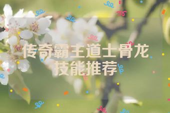 传奇霸主道士骨龙技能推荐