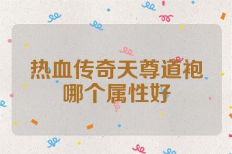 热血传奇天尊道袍哪个属性好