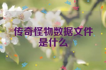 传奇怪物数据文件是什么