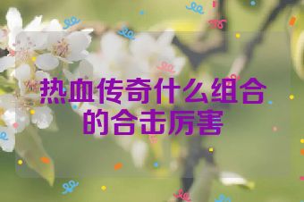 热血传奇什么组合的合击厉害
