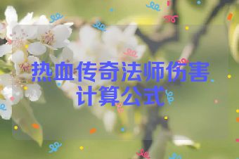 热血传奇法师伤害计算公式