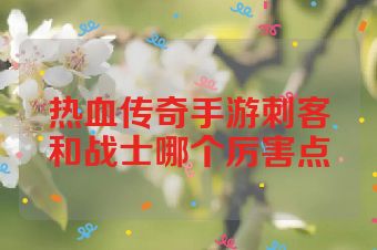 热血传奇手游刺客和战士哪个厉害点
