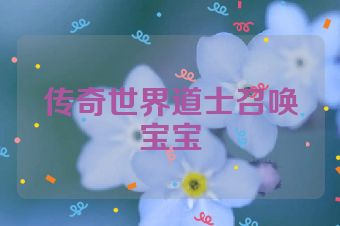 传奇世界道士召唤宝宝