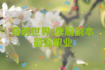 奇迹世界2单刷副本最强职业