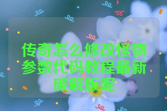 传奇怎么修改怪物参数代码教程最新破解版呢