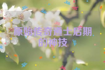 原始传奇道士后期的神技
