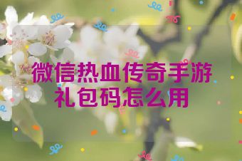微信热血传奇手游礼包码怎么用