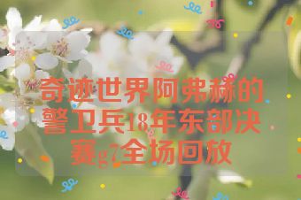 奇迹世界阿弗赫的警卫兵18年东部决赛g7全场回放