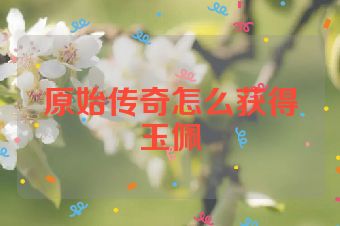 原始传奇怎么获得玉佩