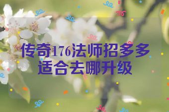 传奇176法师招多多适合去哪升级