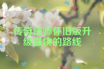 传奇法师怀旧版升级最快的路线