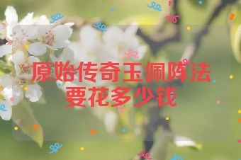原始传奇玉佩阵法要花多少钱