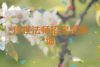传世法师招宝宝明细