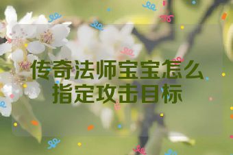 传奇法师宝宝怎么指定攻击目标