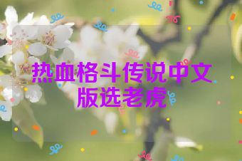 热血格斗传说中文版选老虎