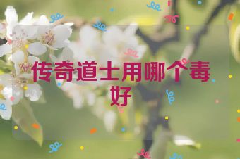 传奇道士用哪个毒好