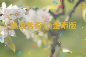 热血传奇170金币版