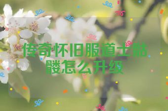 传奇怀旧服道士骷髅怎么升级