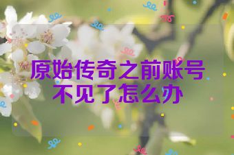 原始传奇之前账号不见了怎么办