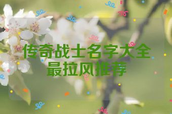 传奇战士名字大全最拉风推荐