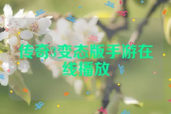 传奇3变态版手游在线播放