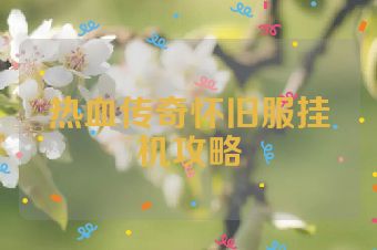 热血传奇怀旧服挂机攻略