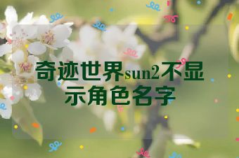奇迹世界sun2不显示角色名字