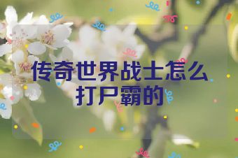 传奇世界战士怎么打尸霸的