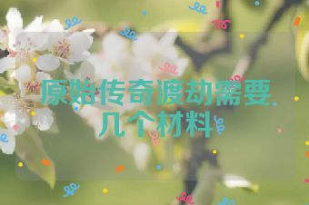 原始传奇渡劫需要几个材料