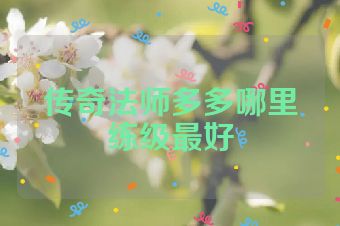 传奇法师多多哪里练级最好