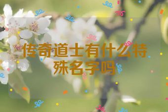 传奇道士有什么特殊名字吗