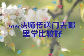 wow法师传送门去哪里学比较好