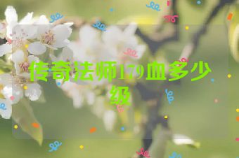 传奇法师179血多少级