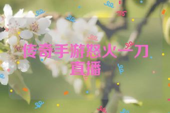 传奇手游怒火一刀直播